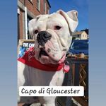 Eileen Kelley - @capodigloucester - Instagram