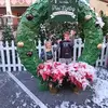 eileenkelley7 - @eileenkelley7 - TikTok