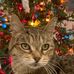 Eileen Kilroy - Facebook