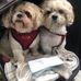 Eileen Kilroy - Facebook