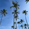 EILEEEEN - @eileenkoe - TikTok