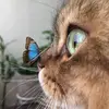 Jackie - @eileenkohout - TikTok