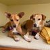 Eileen Kramer - Facebook