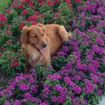 Eileen Kramer - @eikramer - Instagram