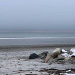 Eileen Labrecque - @eileenlabrecque - Instagram