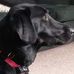 Eileen Labrecque - Facebook