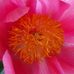 Eileen Langley - Facebook