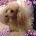 Eileen Langley - Facebook