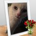 Eileen Langley - Facebook