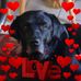 Eileen Langley - Facebook