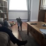 Eileen Lindsay - @eileenlindsay822 - Instagram