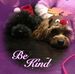 Aileen Logan - Facebook