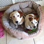 Eileen Looby - @eileenhughes37 - Instagram