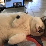 Eileen Lyons - @hiddenlake405 - Instagram