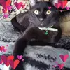 Eileen Lyons - @eileen.lyons75 - TikTok