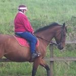 Eileen MacDonald - @macdonald5184 - Instagram