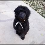 Eileen MacLean - @eileenmaclean04 - Instagram