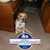 Eileen M Marino - Facebook