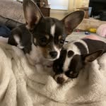 Eileen - @eileen_masterson_ - Instagram