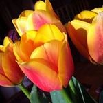 Eileen Matthews - @eematth - Instagram