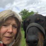 Eileen Matthews - @heathwaendobes - Instagram