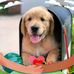 Eileen Mayfield - Facebook