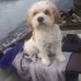Eileen Mccaffrey - Facebook