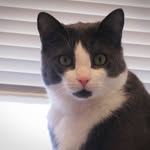 Eileen McCaffrey - @eileen.mccaffrey66 - Instagram