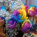 Eileen Mccall - Facebook