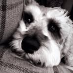 Eileen Mccallion - Facebook