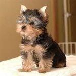 Eileen McCann - @eileen.mccann.3591 - Instagram