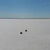 Eileen McCann - @eileen.moose - TikTok