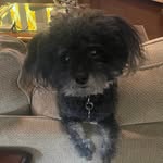 Eileen Bates McCarroll - @eileenbatesmccarroll - Instagram