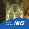 elainemccarroll3 - @elainemccarroll3 - TikTok