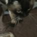 Eileen McClellan - Facebook
