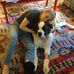 Eileen McComb - Facebook