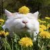 Eileen McDonnell - Facebook