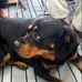 Ellen McElwee - Facebook