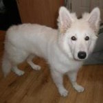 Eileen Mcfadden - @eileen1964 - Instagram