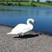 Eileen Mc Gee - Facebook
