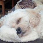 Eileen McGee - @finnieaugust - Instagram