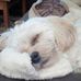 Eileen McGee - Facebook