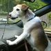 Eileen McGonagle - Facebook