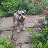 Eileen McGowan - @eileen.mcgowan8 - TikTok