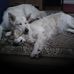 Eileen Mcgroarty - Facebook