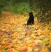 Eileen McGroarty - Facebook