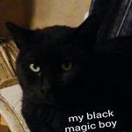 Eileen McGroarty - @eileenmcgroarty - Instagram
