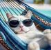 Eileen McGroarty - Facebook