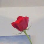 Eileen McHenry - @pmac7114514 - Instagram