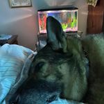 Eileen Mchugh - @eileenemchugh - Instagram